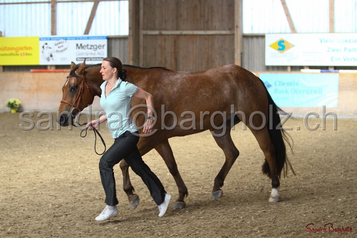 24-ApHC HIH_130.jpg